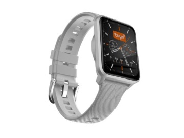 SMARTWATCH BEMI Remo Серый контроллер умного дома