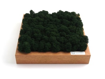 Финский мох 500г.