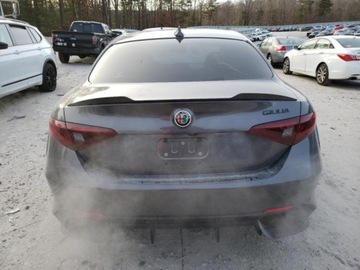 Alfa Romeo Giulia II 2019 Alfa Romeo Giulia Quadrifoglio 2019 2.9l 2.9 Benzyna 505KM, zdjęcie 2