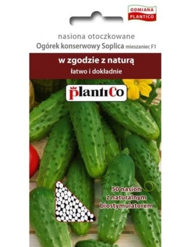 OGÓREK SOPLICA F1 50 szt NASIONA OTOCZKOWANE 'P