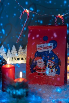 РОЖДЕСТВЕНСКИЕ подарочные блок-пакеты, по 10 штук в ПОДАРОК, бумажные пакеты