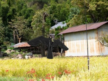 Репеллент для птиц сокол ворон ястреб KITE