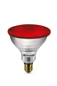 Lampa promiennik kwoka żarówka 175W PAR czerwona