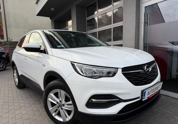 Opel 2021 Opel Grandland X salon Polska, FV-VAT23 1.5 Diesel 130KM, zdjęcie 14