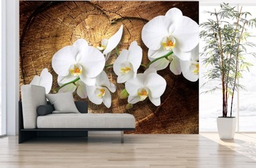 Fototapeta białej orchidea storczyki na tle drewna