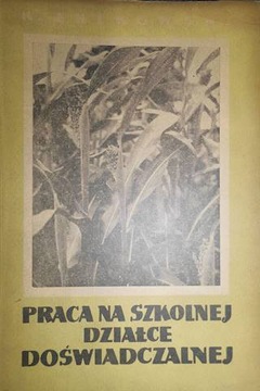 Praca na szkolnej - Żbikowski