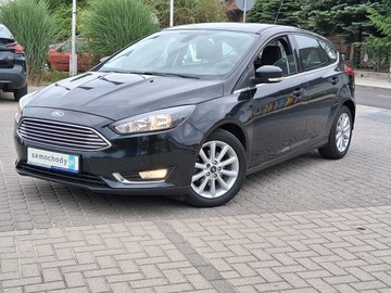 Ford Focus III Hatchback 5d facelifting 1.0 EcoBoost 125KM 2015 Ford Focus Grzana Kierownica Navi Klimatronic Bez wypadek, zdjęcie 8