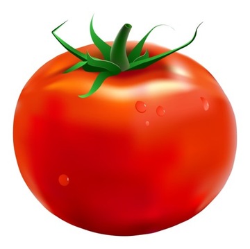 ЦВЕТОЧНЫЙ ГОРШОК ДЛЯ ВЫРАЩИВАНИЯ ПОМИДОРОВ И ОВОЩЕЙ С ЛЕСТНИЦОЙ ТОМАТОТАСАДКА 28Л