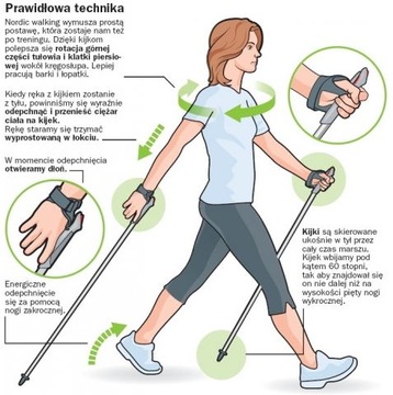 ТРЕККИНГОВЫЕ ПАЛКИ ROCKLAND NORDIC ACCESS 135см