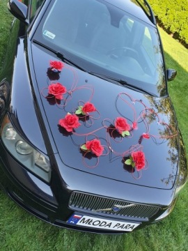 Живописное украшение автомобиля Украшение автомобиля ПЕРО