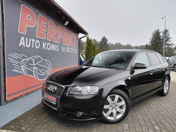 Audi A3 8P Hatchback 3d 2.0 TDI PD 170KM 2007 Audi A3 Sportback S Line Automat Klimatronik Alu 2.0 Diesel 170KM
