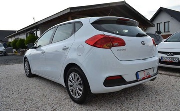 Kia Ceed II pro_cee´d 1.4 DOHC 100KM 2013 Kia Ceed Bezwypadkowe - 1 wlasciciel - Niski przebieg - Super Stan 1.4, zdjęcie 17