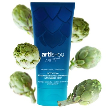 ARTISHOQ ODŻYWKA DO WŁOSÓW KURACJA CHRONIĄCA I UTRWALAJĄCA KOLOR KAWIOR