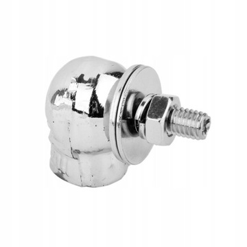 1 пара винтов рамки номерного знака с черепом