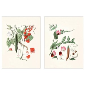 IKEA BILD 2 plakaty dekoracyjne BOTANICZNE 30x40