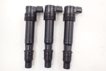 Шноркель катушки зажигания Triumph Tiger 1200 XCA Exp