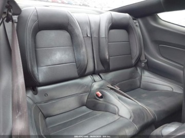 Ford Mustang VI 2020 Ford Mustang 2020 Ford Mustang EcoBoost Fastback 2.3 Benzyna 330KM, zdjęcie 7