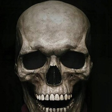 Scary Skull Head Mask