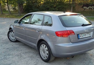 Audi A3 8P Hatchback 3d 1.6 FSI 115KM 2005 Audi A3 1,6 Benzyna 5 Drzwi Klima El szyby ..., zdjęcie 16