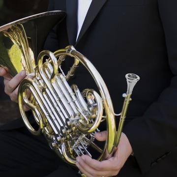 INSTRUMENT MUZYCZNY Z WYMIENNYM USTAWNIKIEM RÓŻOWYM