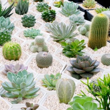 САДОВОДЧЕСКИЙ СУБСТРАТ ПЕРЛИТ 125Л ФИДЕР ДЛЯ ПОСЕВА РАСТЕНИЙ УКОРЕНЕВАНИЕ