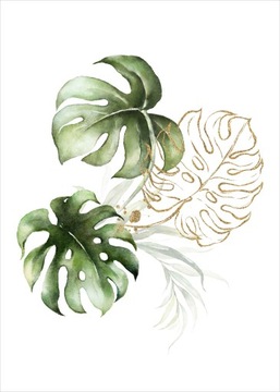 Nowoczesny Plakat Plakaty B2 70x50cm Monstera Liść