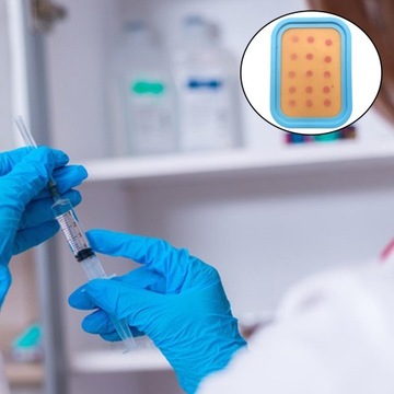 2 . Модель обучения губке Студенческая практика