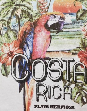 BERSHKA KRÓTKI T-SHIRT COSTA RICA 7299033 R.S