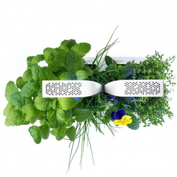 Настоящая Классика