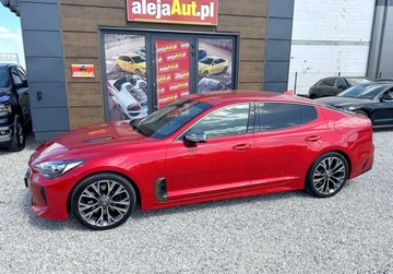 Kia Stinger Liftback 2.0 T-GDi 245KM 2019 Kia Stinger STINGER GT line 2.0 Benz 245 KM Salon PL Warszawa 2.0 245KM, zdjęcie 11