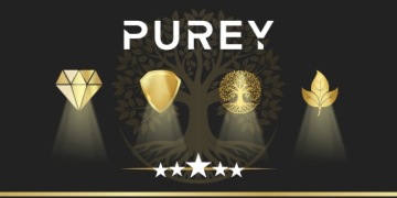 10x FLIZELINE BAGS +2x PUREY FILTER FOR KARCHER WD 3 KWD 3 SE 4