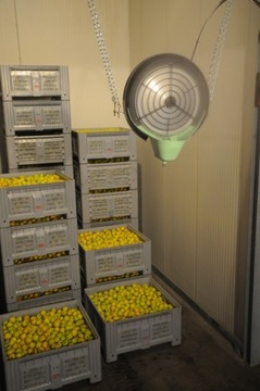 Охладитель и увлажнитель воздуха для птичников Aqua Turbo 15