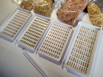 МТЗ Лотки для учета зерна пшеницы, овса, ржи, ячменя