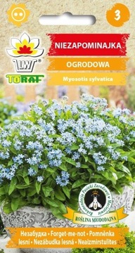 Niezapominajka ogrodowa niebieska - Nasiona 0,3 g