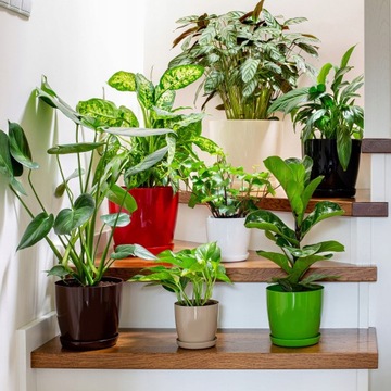 DONICZKA Z PODSTAWKĄ PLASTIKOWA OSŁONKA DONICA 12cm CZERWONA KWIATY KADAX