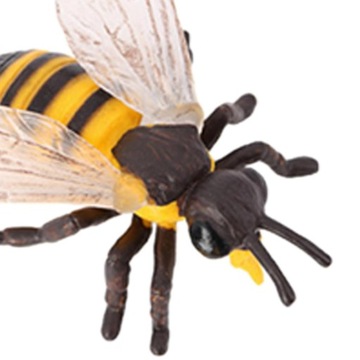 2Pcs Kids Dragonfly Bee Growth Process