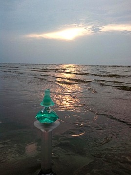 САЛЬВАДОР ДАЛИ ЛАГУНА EDT 100МЛ