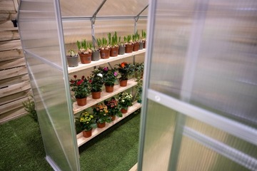 Садовая теплица 5,9 м2 поликарбонат - 3,1х1,9 м