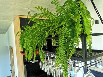 Подвесная полка с держателями для бокалов и вина, 90 см.