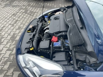 Ford Fiesta VIII Hatchback 3d 1.5 TDCi 85KM 2019 Ford Fiesta Klimatyzacja Oryginalny przebieg, zdjęcie 15