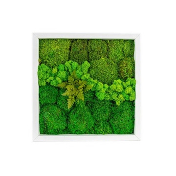 KAWAŁEK LASU Obraz z mchu BIAŁA RAMA 25x25CM