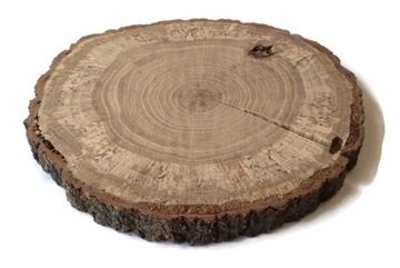 plastry drewniane Dąb pęknięty z ubytkami 17-20 cm