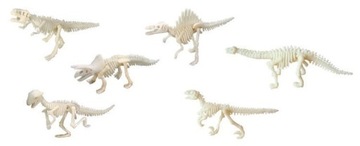 Отпечаток лапы большого скелета динозавра