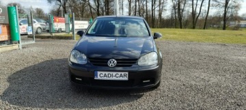 Volkswagen Golf V Hatchback 2.0 TDI 140KM 2004 Volkswagen Golf Stan bardzo dobry., zdjęcie 1