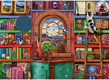 PUZZLE 1000 sztuk książki regał kot HuaDada