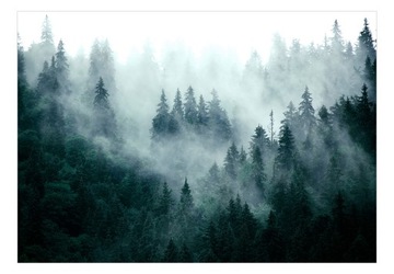 FOTOTAPETA LAS MGŁA NATURA 250x175 c-B-0533-a-d