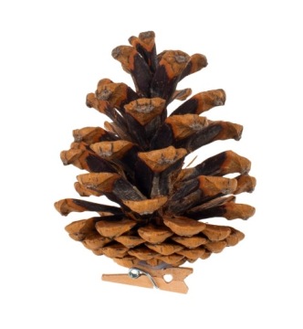 СОСНОВЫЕ ШИШКИ С ПРИЩЕПКОЙ ДЕКОРАТИВНЫЕ РОЖДЕСТВЕНСКИЕ УКРАШЕНИЯ ДЛЯ ЦЕНТРАЛЬНЫХ БЛЮД 14 ШТ.