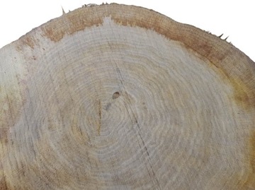 Дуб Срез 38х32 Древесина для домашней обработки Дуб