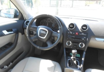 Audi A3 8P Hatchback 3d 1.9 TDI 105KM 2006 Audi A3 Sportback Audi A3 II (8P) sportbag 1.9 Diesel 105KM, zdjęcie 9