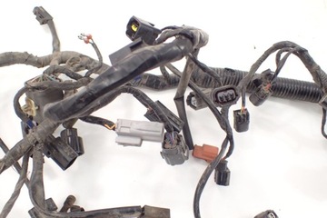 Triumph Tiger 800 XCx 10-17 Instalacja wiązka